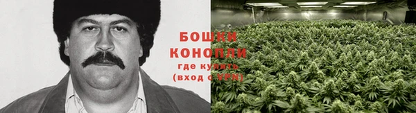 дурь Аркадак