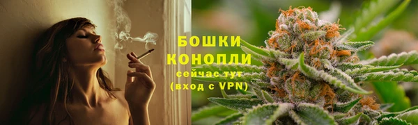 apvp Арсеньев